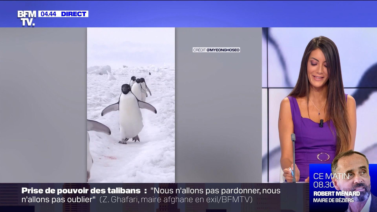 09.03 - 03.30.00 - Première édition. Un nouveau tandem prend les comm....ts_snapshot_00.20.42_[2021.