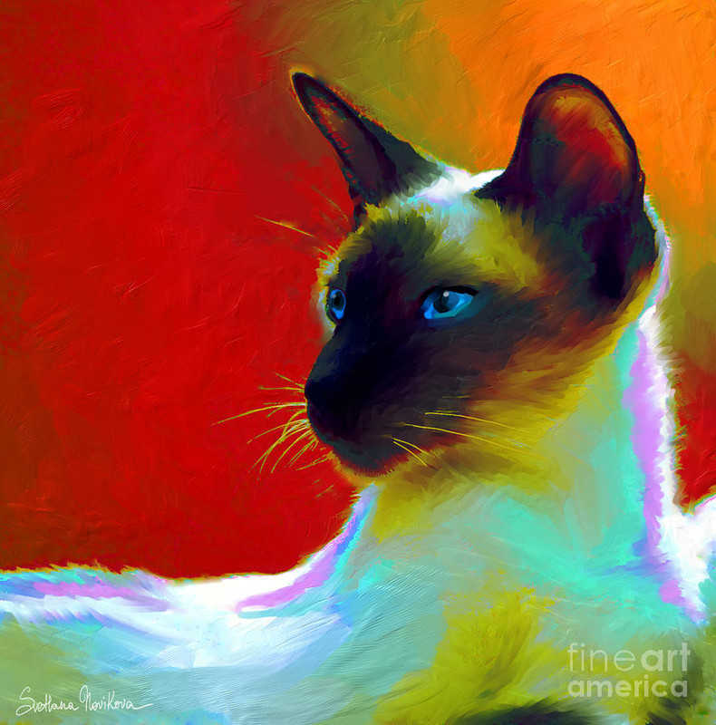 16-siamese-cat-10-painting-svetlana-novikova