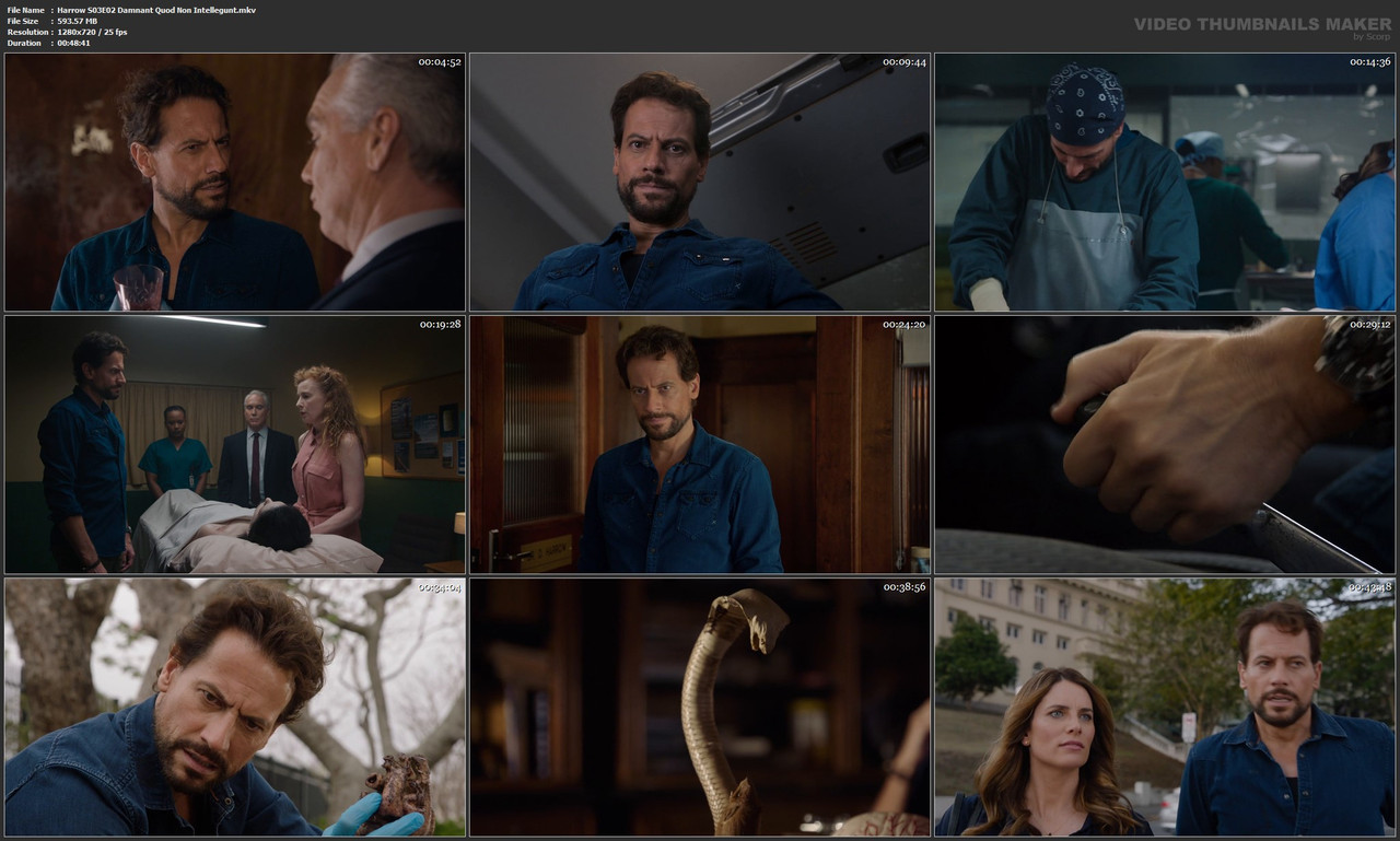 Harrow S03E02 Damnant Quod Non Intellegunt.mkv