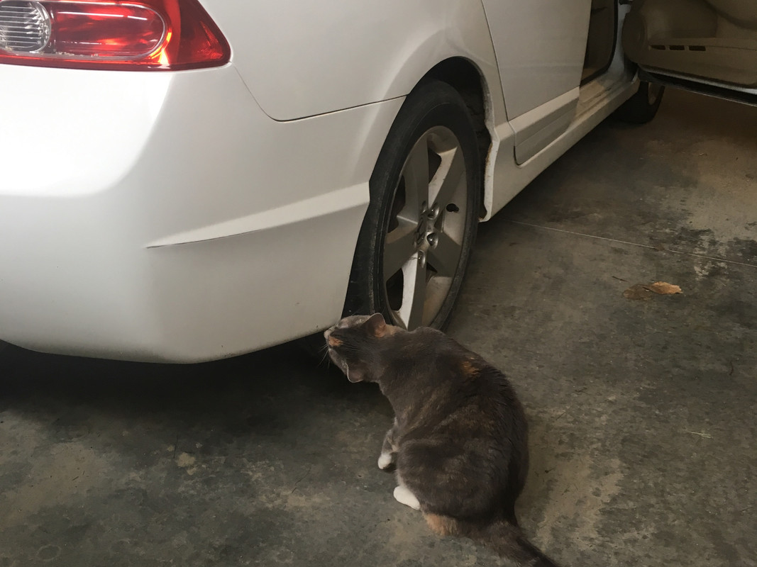 2023-05-22 11.46.08_1