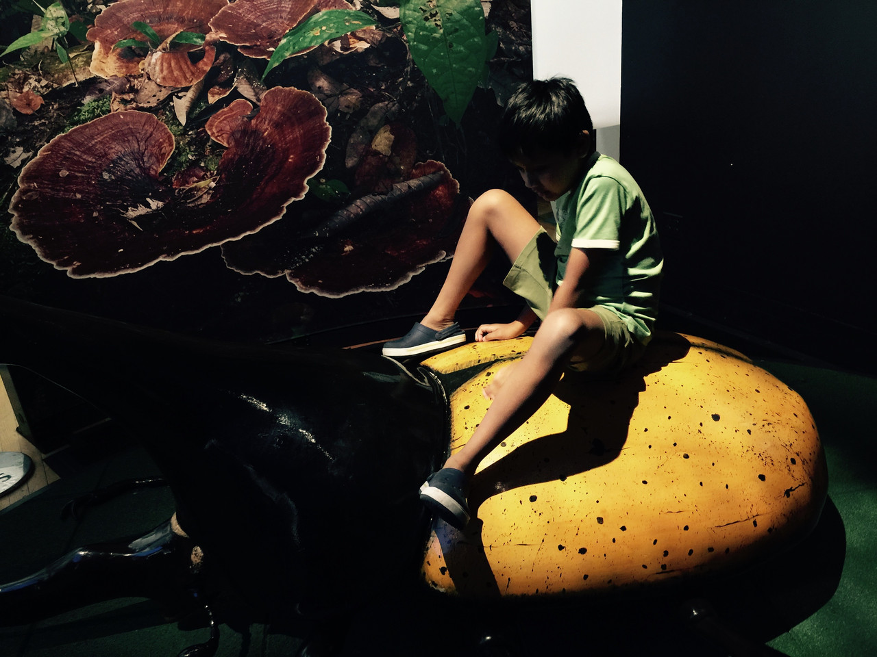 109f44775fb50da603a634bf676695c1