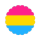pansexual