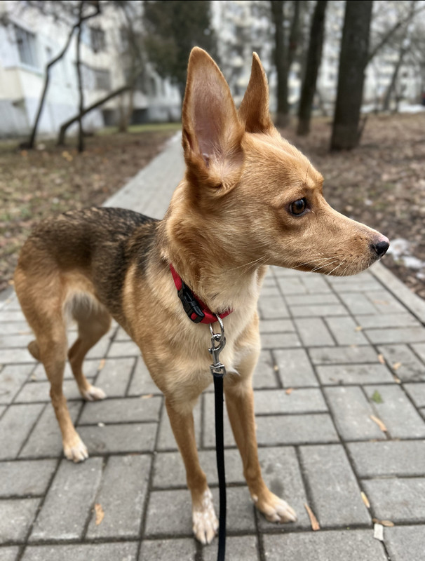 C7CC0801-1AF8-4659-B705-2661473BB9E0