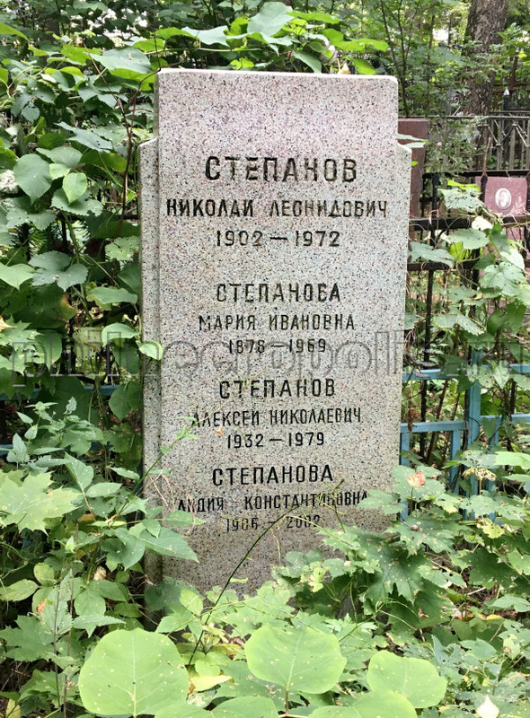 stepanov-nl