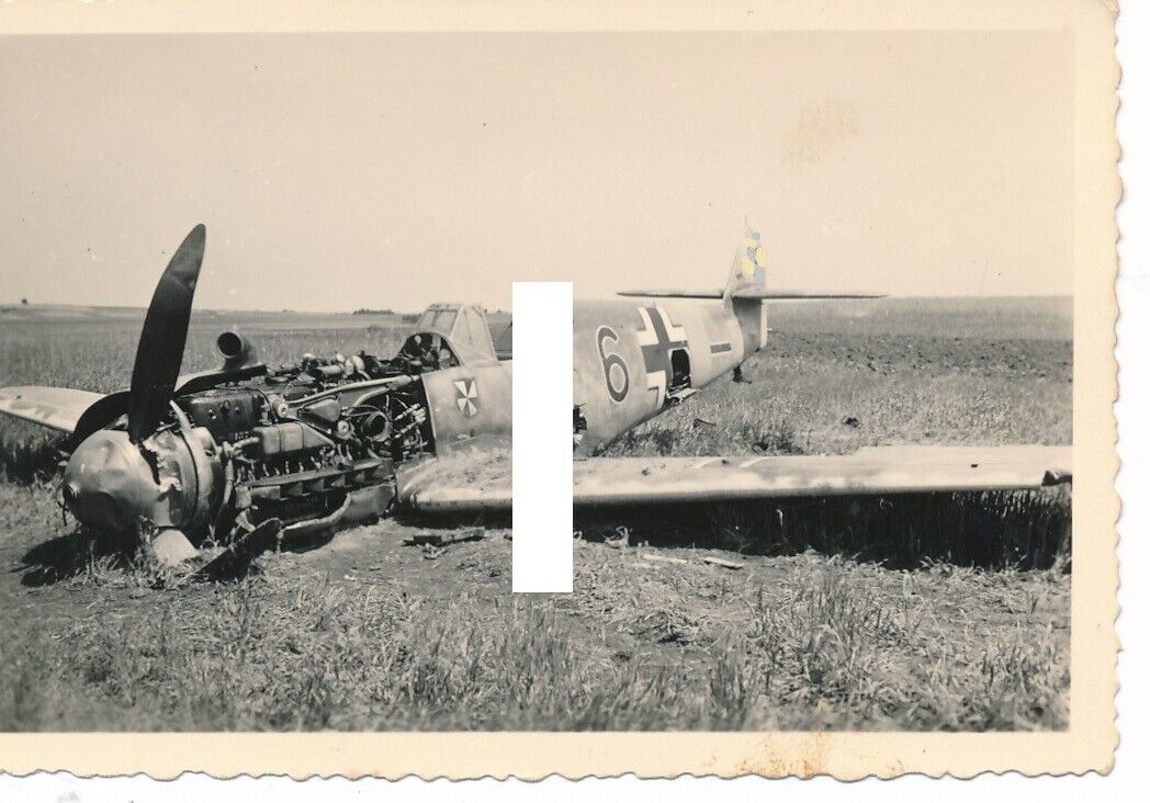 Russland deutsches Flugzeug Jäger ME 109 IIJG3 Bruchlandung Staffelwappen
