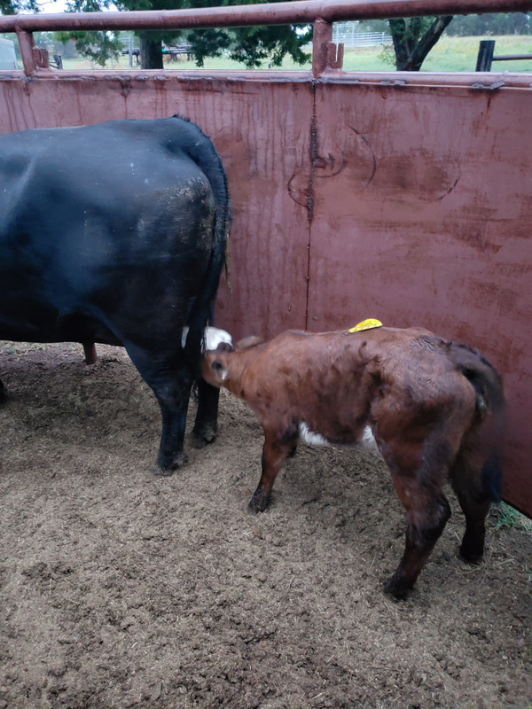 20200909_194821
