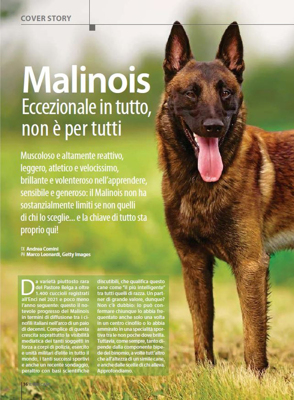 Il M C Ott-Nov 2023 (1)