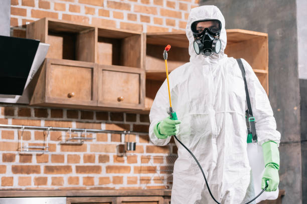 pest-control-(14).jpg