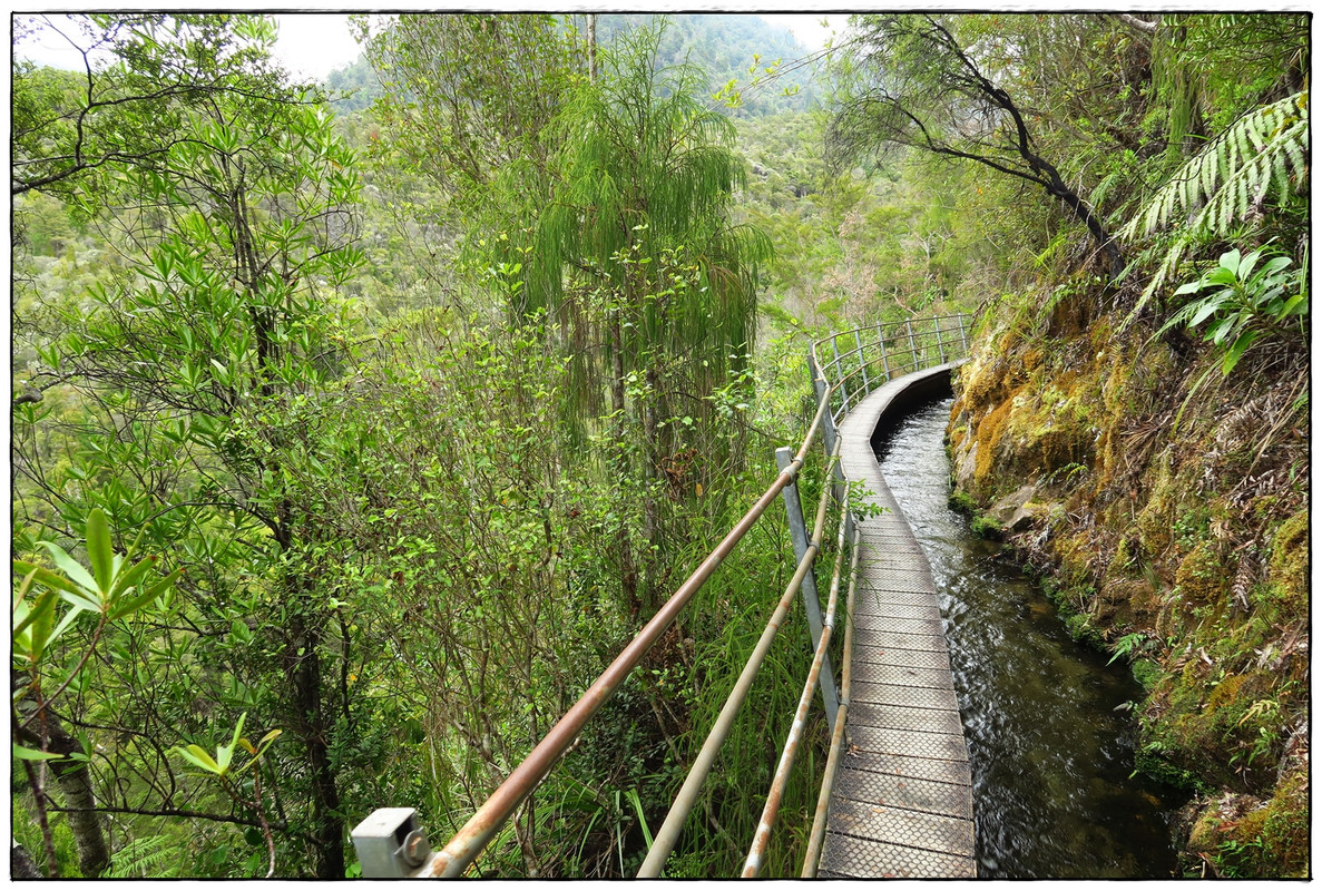 Escapadas y rutas por la Nueva Zelanda menos conocida - Blogs de Nueva Zelanda - Golden Bay (Navidad 2020, II) (30)