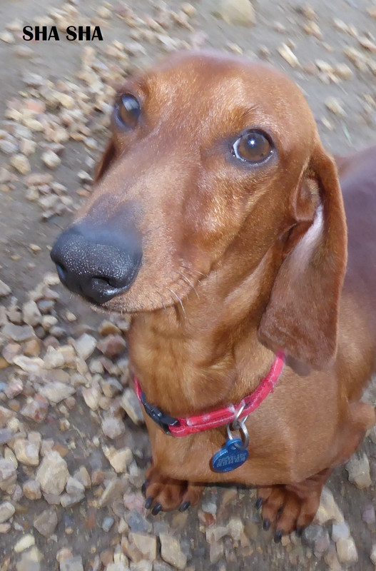 [Image: P1020052-1.jpg]