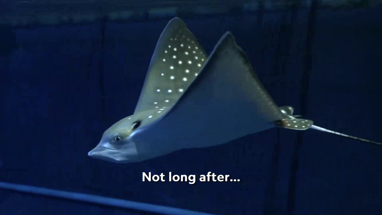 vlcsnap-2022-10-06-21h45m00s502