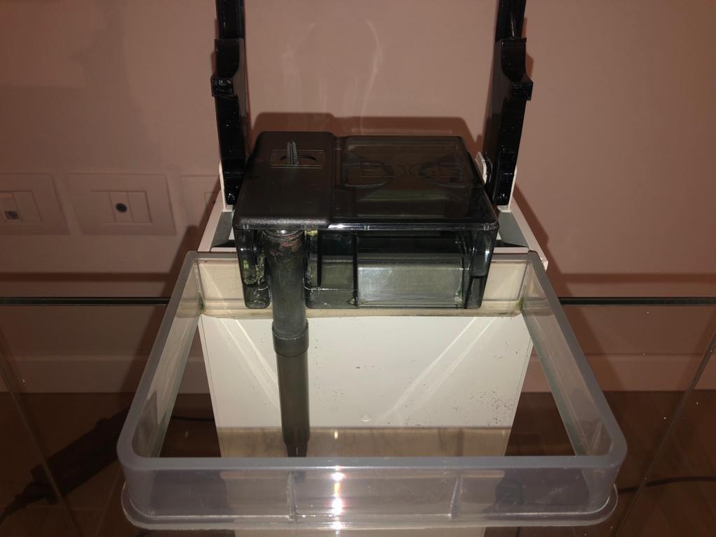 60FAC98F-B1D7-4BD6-BF96-EFB0DDC2E01F