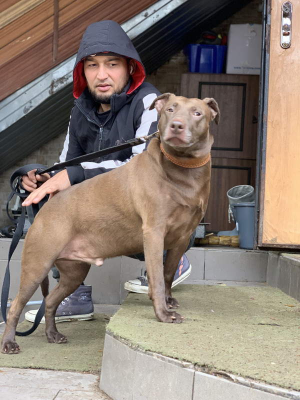 45FFF10A-B906-4E11-8646-859392B5C057