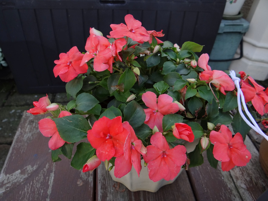 OCTOBER 1ST  4 011023