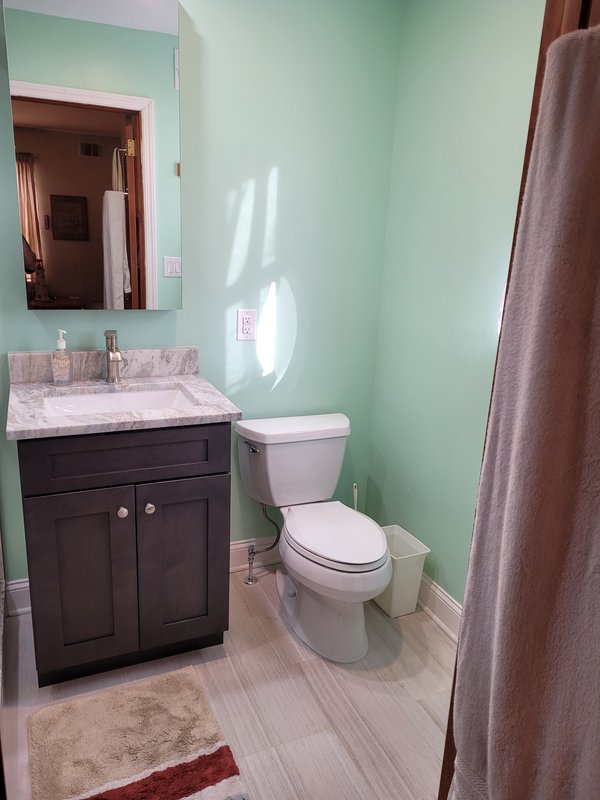 Master Bath painted