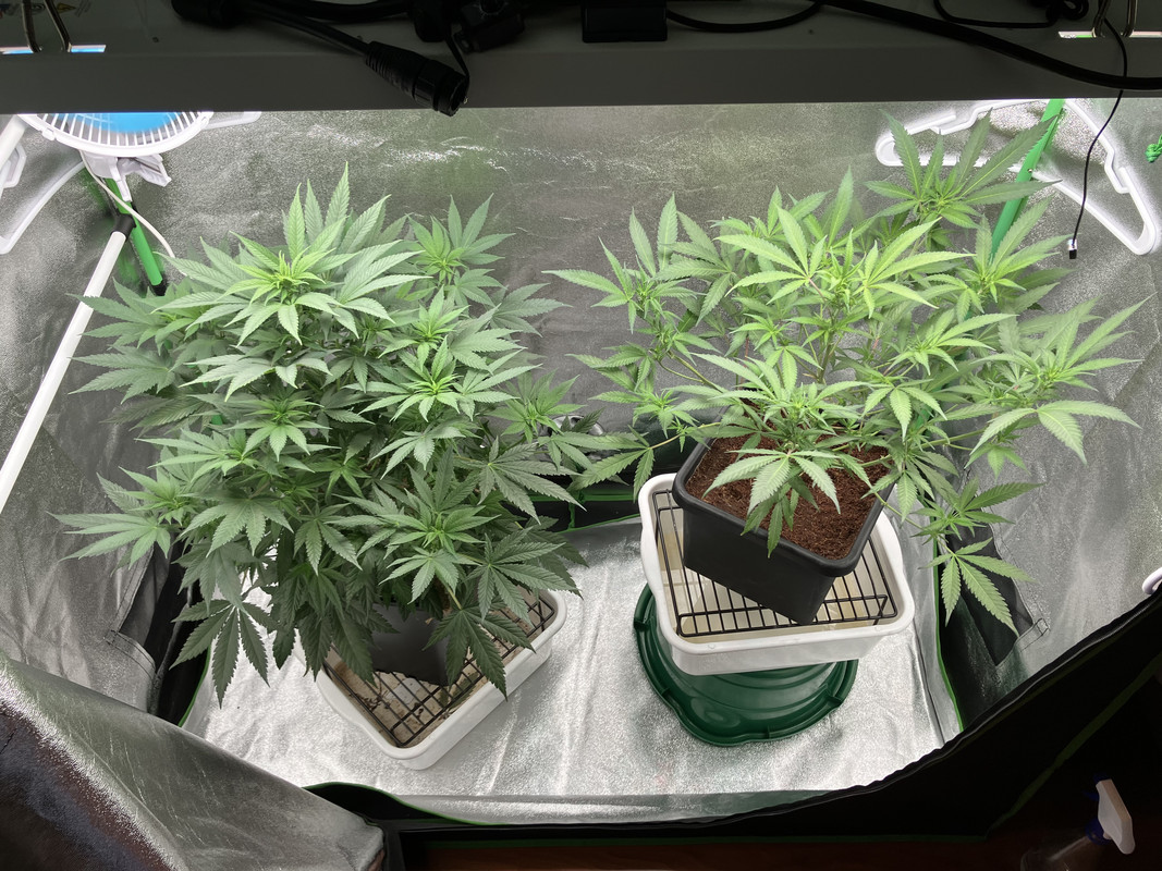 557C8AEE-00B3-490C-ABC0-81732E5490C1