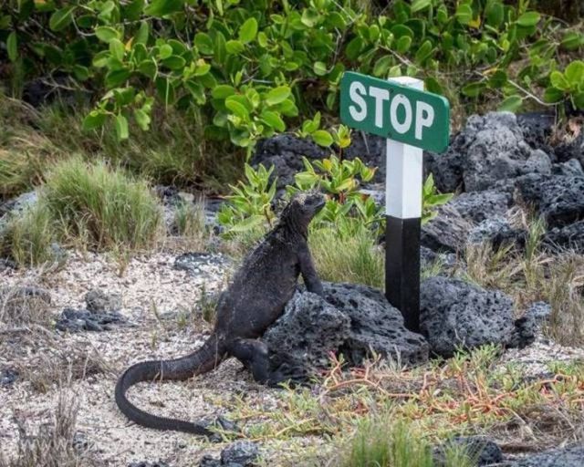 2017_03_19_11_02live4fun_ru_data_jokes_655426_58