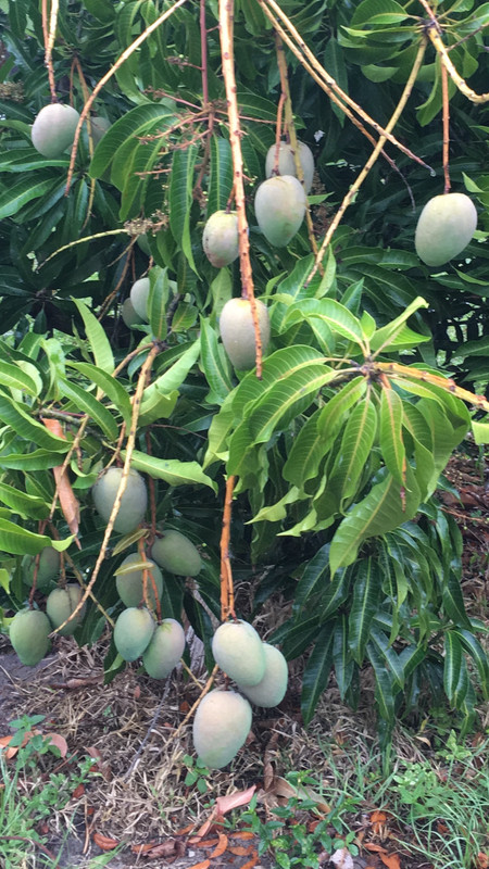 F0F95180-3592-41E7-BF98-5197AD345FCC