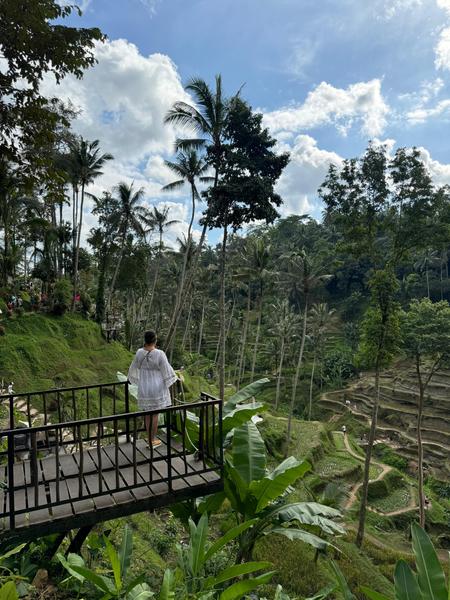 6 Aviones, 3 barcos y 2 trenes, empezando en Estambul y terminando Kuala Lump - Blogs de Indonesia - TERCERA PARADA: BALI (35)