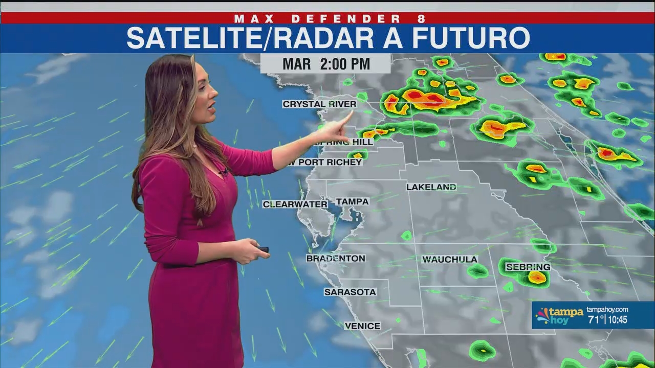 Noticias Tampa Hoy_20241217_03300400.ts_snapshot_16.39.440