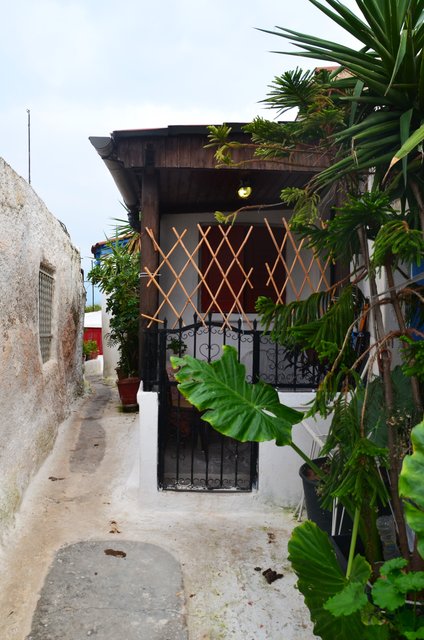 Grecia y sus pueblos-2019 - Blogs de Grecia - Madrid/ Atenas-17-11-2019 (106)