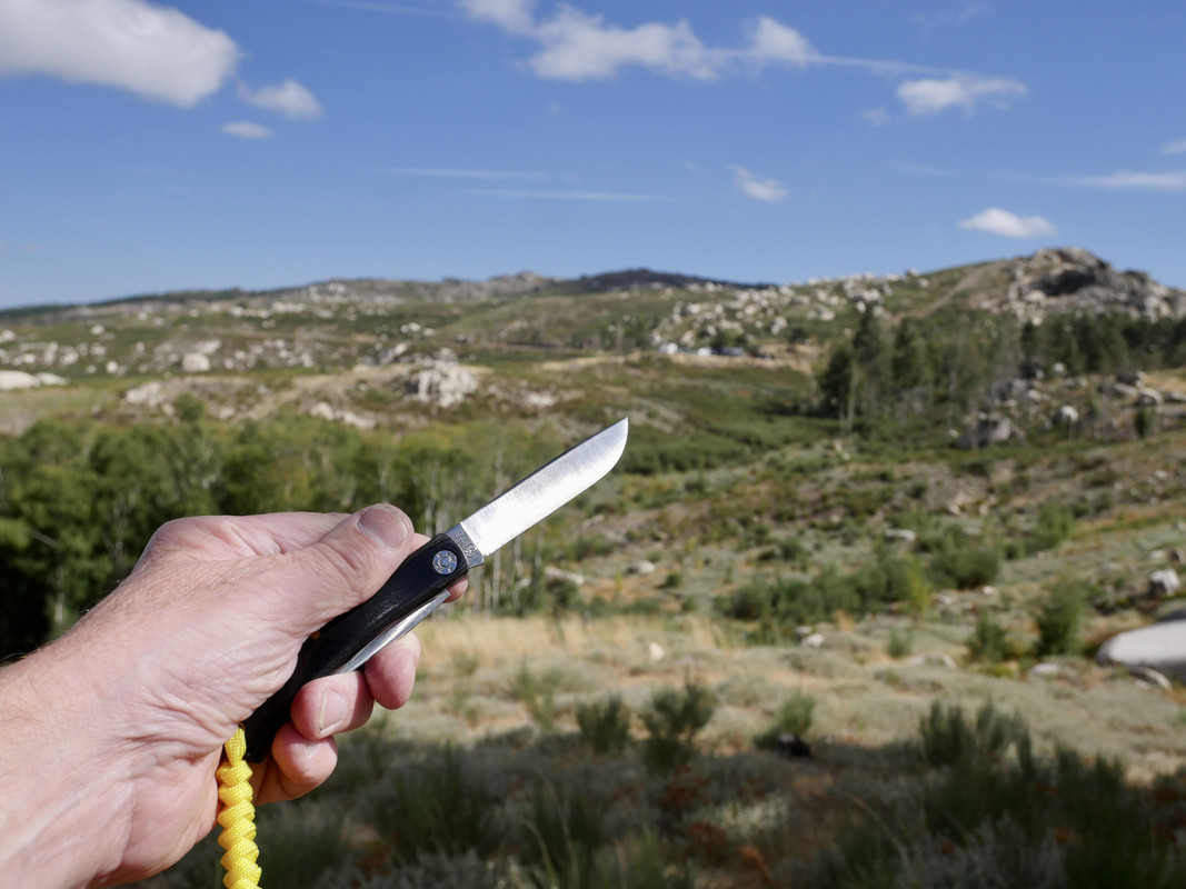 02BF4370-ECCA-4D44-950F-3CEFD9B0A45D