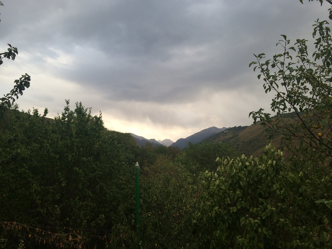 203BA9F3-C1B9-44B8-B580-13B9CD74964C