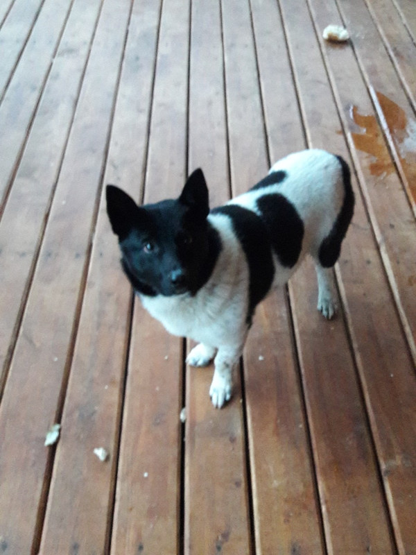 BC437602-CE4B-4E4E-9FC7-D5F07A73A749