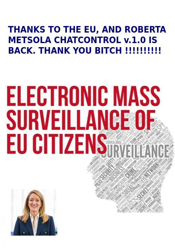mass surveillance final