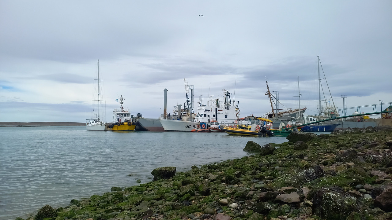 [Imagen: IMG_20251211_WA0005.jpg]