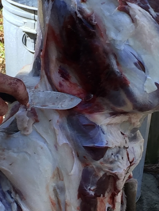 C3CDD4CE-F43B-4811-AD85-53BC2F203E97