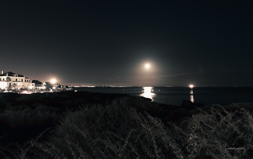 Hive-Villa-Boca-Night-07.jpg
