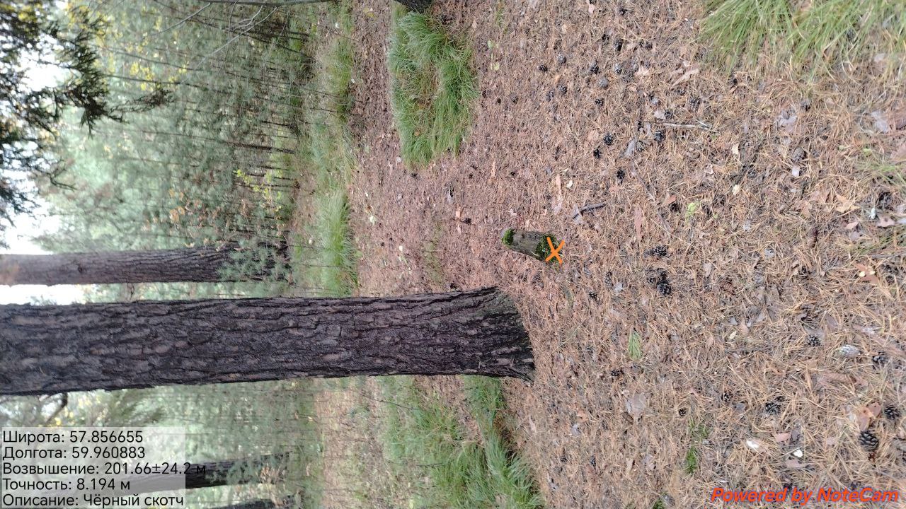 IMG_20251011_162955_523