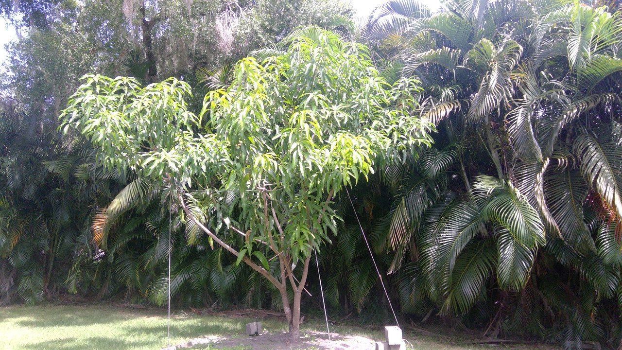 WIN_20190726_11_41_27_Pro