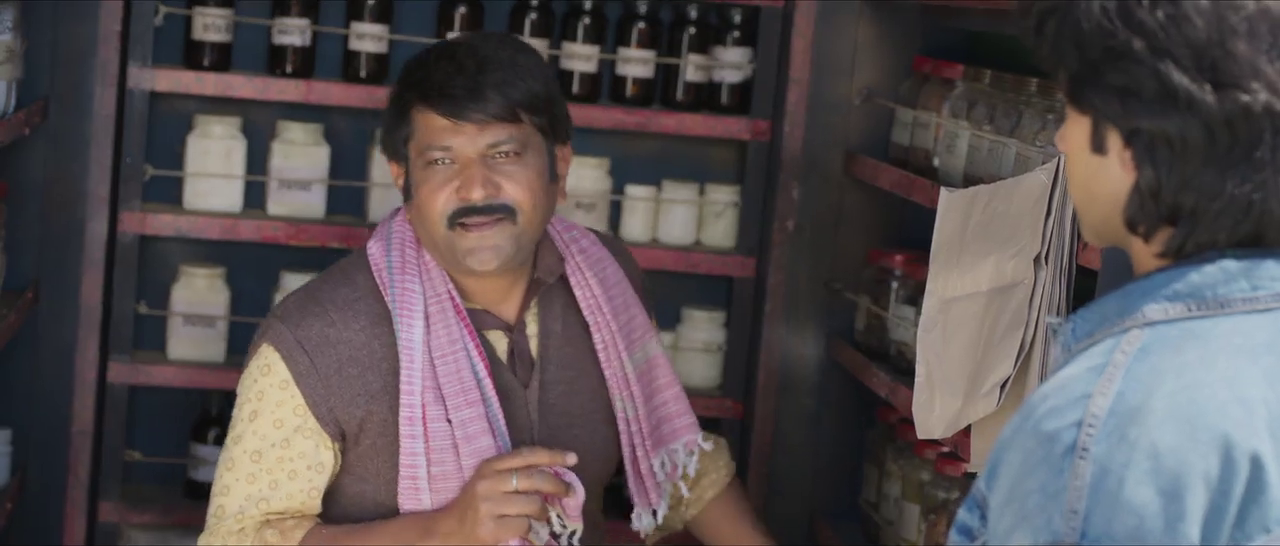 Vicky Vidya Ka Woh Wala Video 2024 Hindi [DDP5.1] WEB-DL 