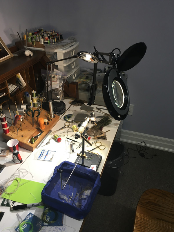 89704003-BEDE-4B8A-819D-F94B60D87419