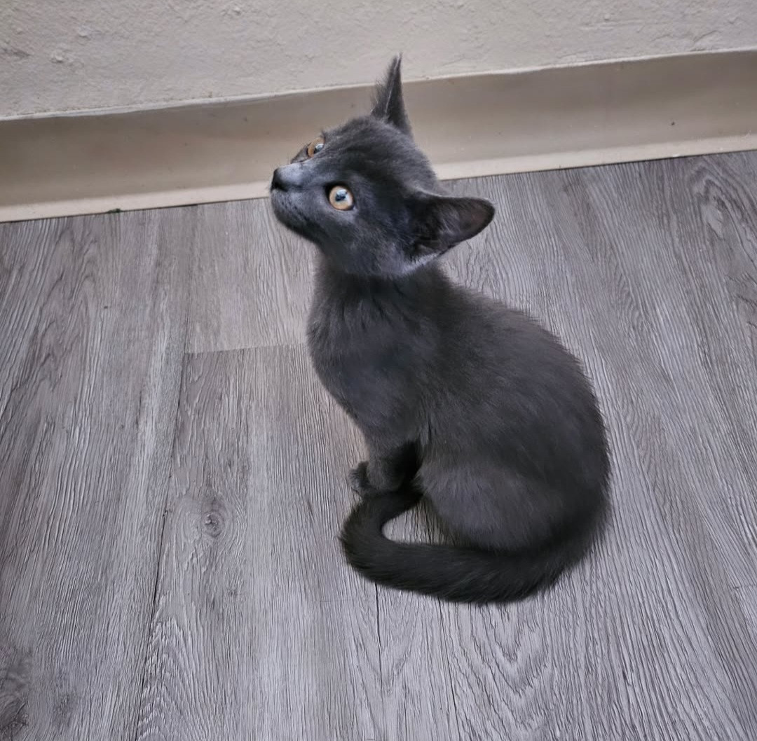 Screenshot 20251208 235022 Instagram