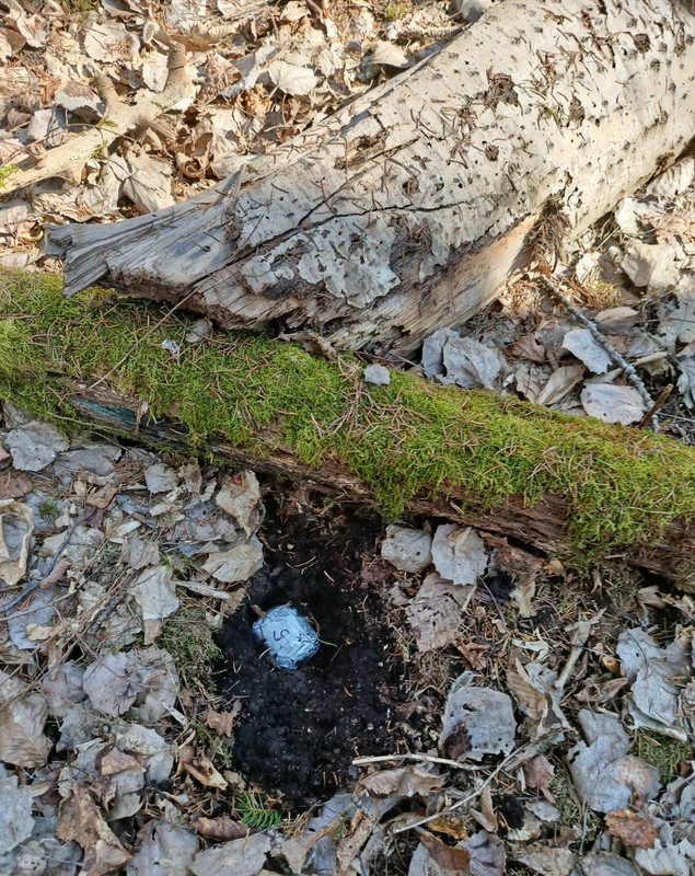 signal 2026 04 01 20 53 31 078 2