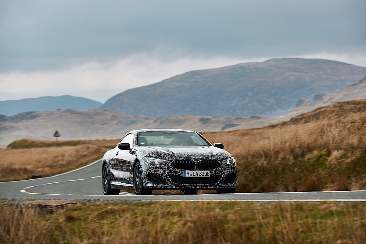 BMW 8 Series Coupe (33)