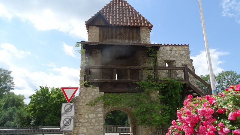 [Image: DSC04141.jpg]