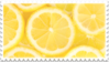 close-up of round lemon slices