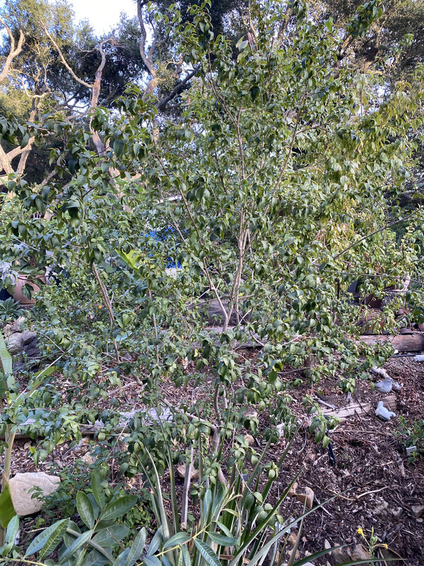 BFC7F7B4-9FD1-4B60-A9C5-7F157A2A77D6