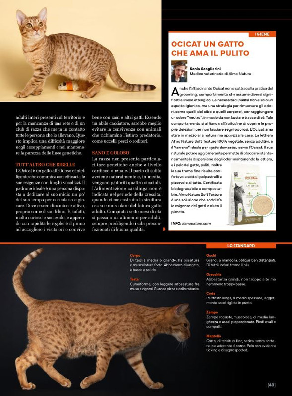 Ga Ma Apr-Mag 2025 (8)