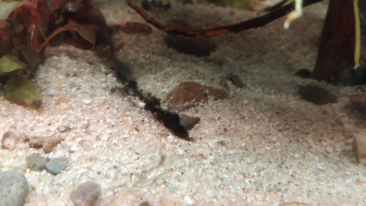 Compress_20230301_193722_2773