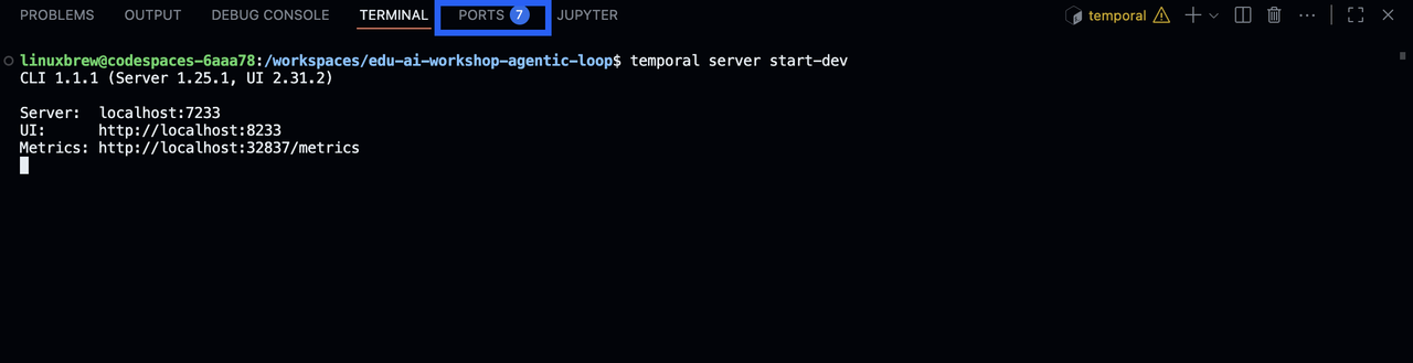 4 — Ports Tab