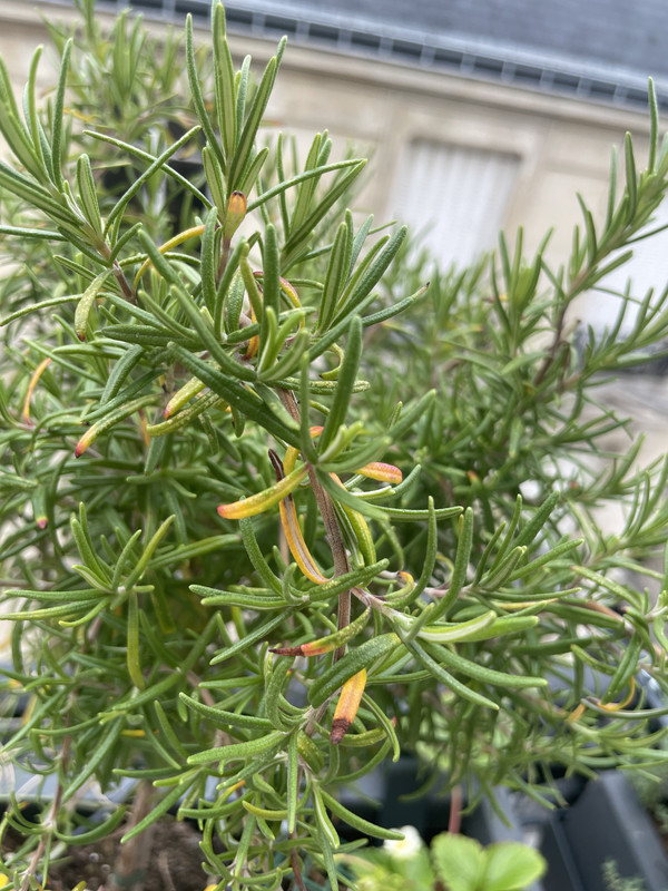 3BD0A844-4D48-4EA6-9E97-4C237551BE80