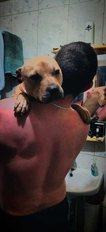 BE42EDF8-090A-486F-B7A7-CA4AC80160AC