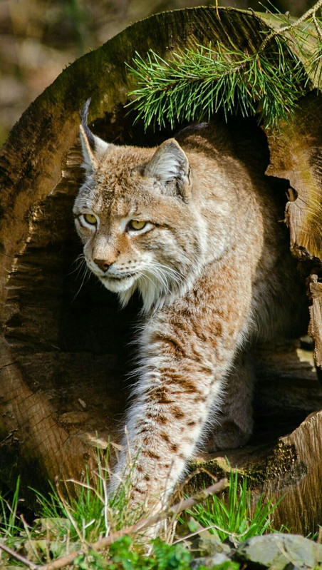 a494a3b15aa60a8b227ec768230b0005