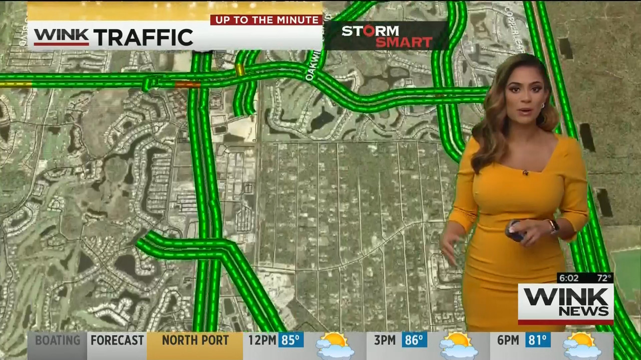 15 May - 11.00.00 - WINK News This Morning..ts_snapshot_03.36_[2020.05.15_23.34.00]