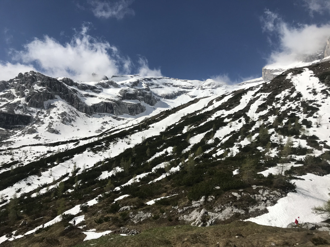 9C303AED-C2A2-4AA8-AF05-DEACCCD50E96